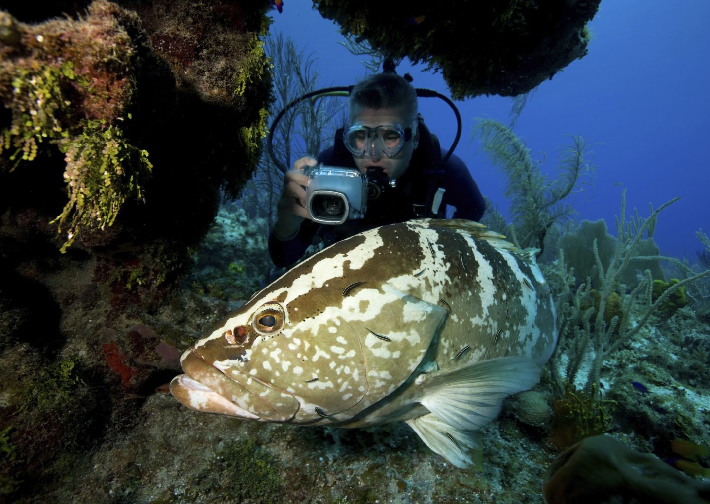 Wildlife photography safari packing guide